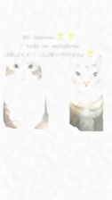 videoplayback (online-video-cutter.com).mp4
